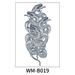 WM-B019